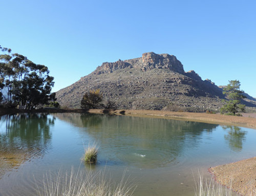 Activities Image 1