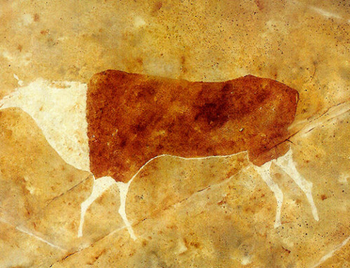 Activities Image 2