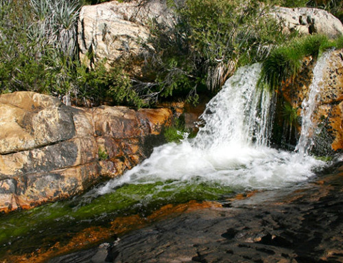 Activities Image 3