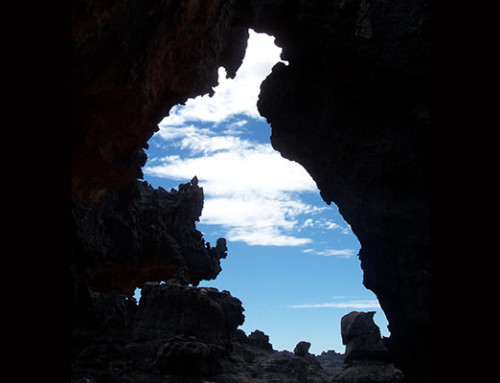 Activities Image 6
