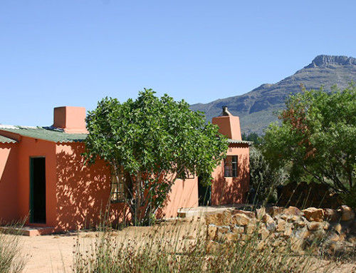 Geelberg Image 1