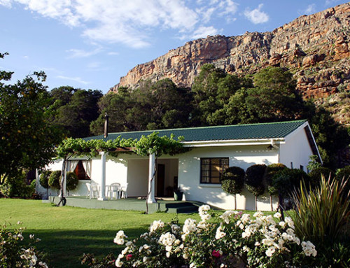 Guesthouse 1