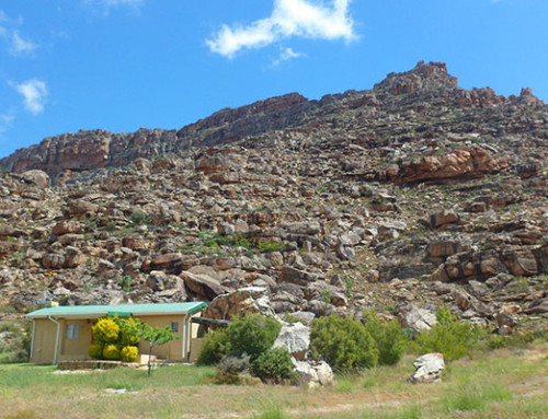 Unit 2 Image 4
